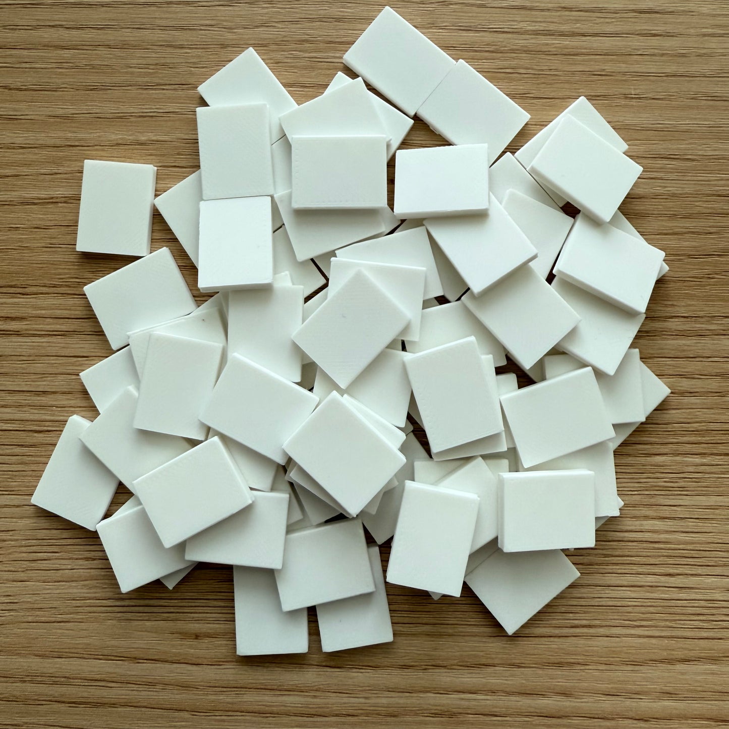 Blank Plastic Minibooks (set of 15) - DIY