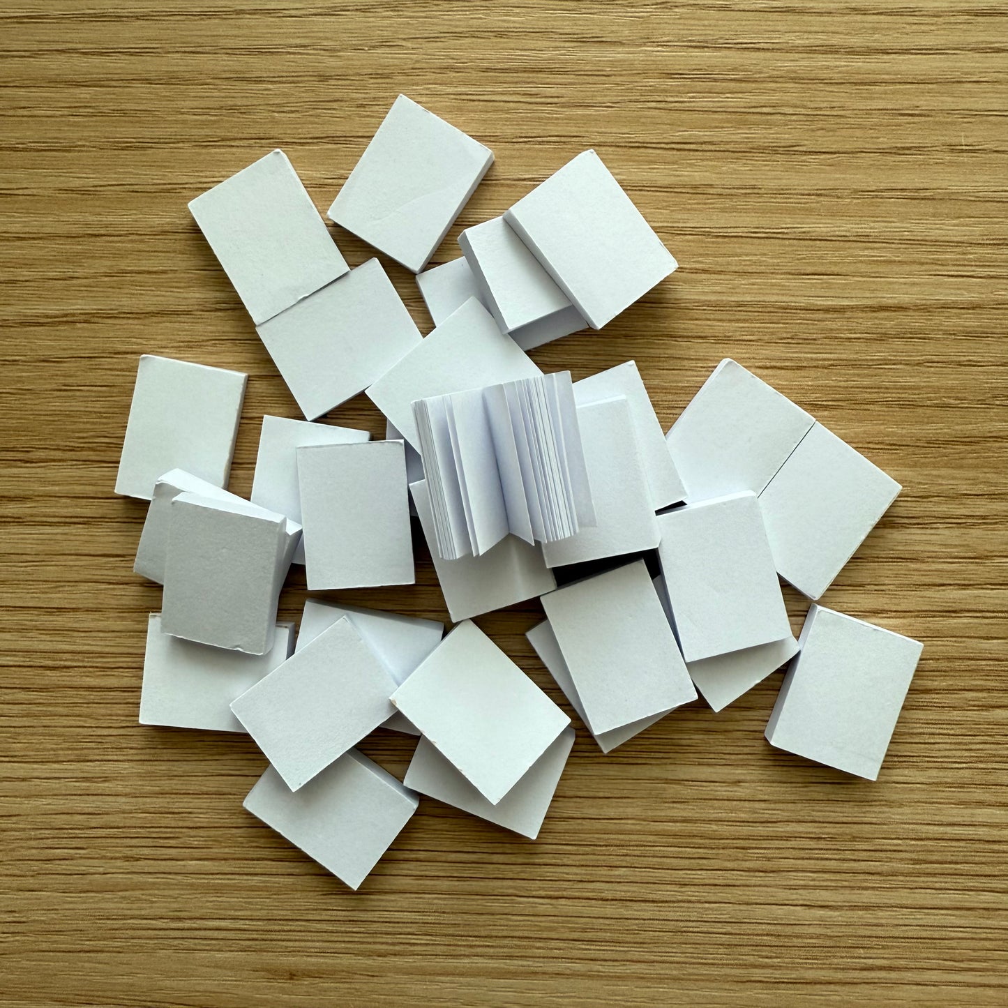 Blank Paper Minibooks (set of 15) - DIY